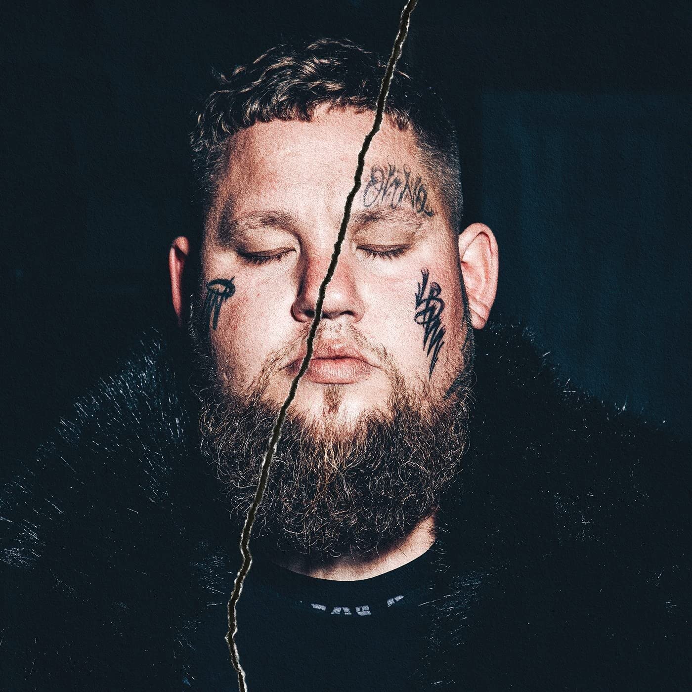 Image of Artwork for Rag'n'Bone Man's Life By Misadventure (Red LP)